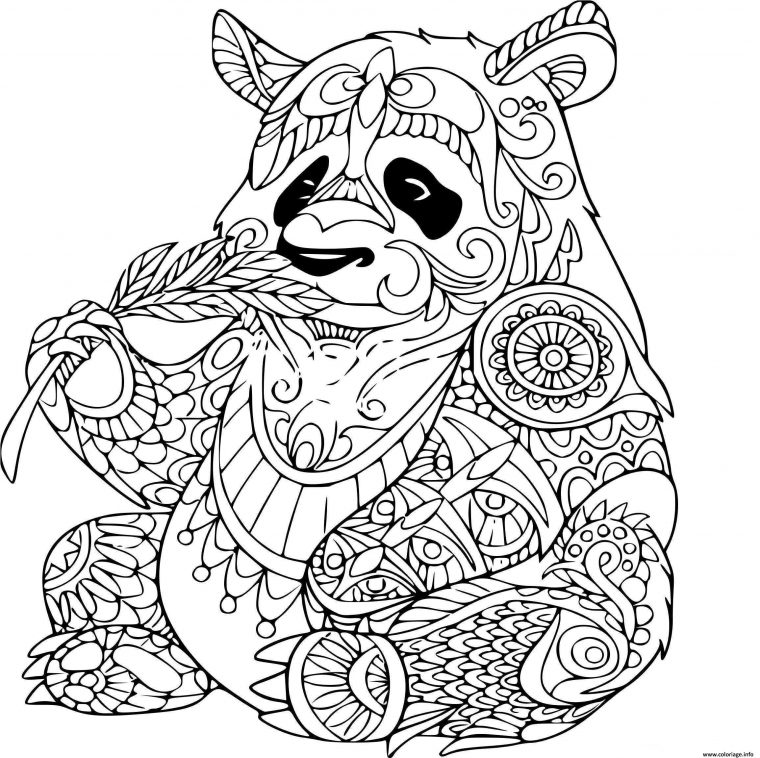 Coloriage Panda Adulte Animaux Dessin intérieur Panda À Colorier