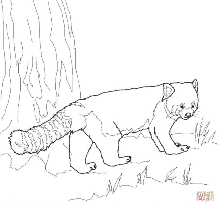 Coloriage – Panda Roux | Coloriages À Imprimer Gratuits encequiconcerne Panda À Colorier