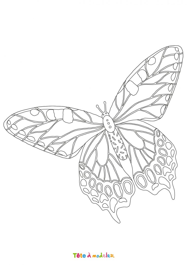 Coloriage Papillon #03 – Un Dessin De Tête À Modeler concernant Dessin Papillon À Colorier