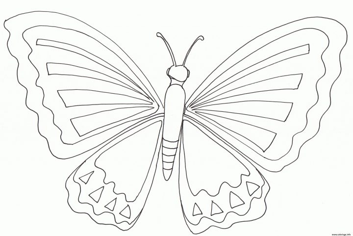 Coloriage Papillon 10 Dessin avec Dessin A Imprimer Papillon Gratuit