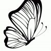 Coloriage Papillon De Profil Sur Hugolescargot concernant Papillon À Dessiner