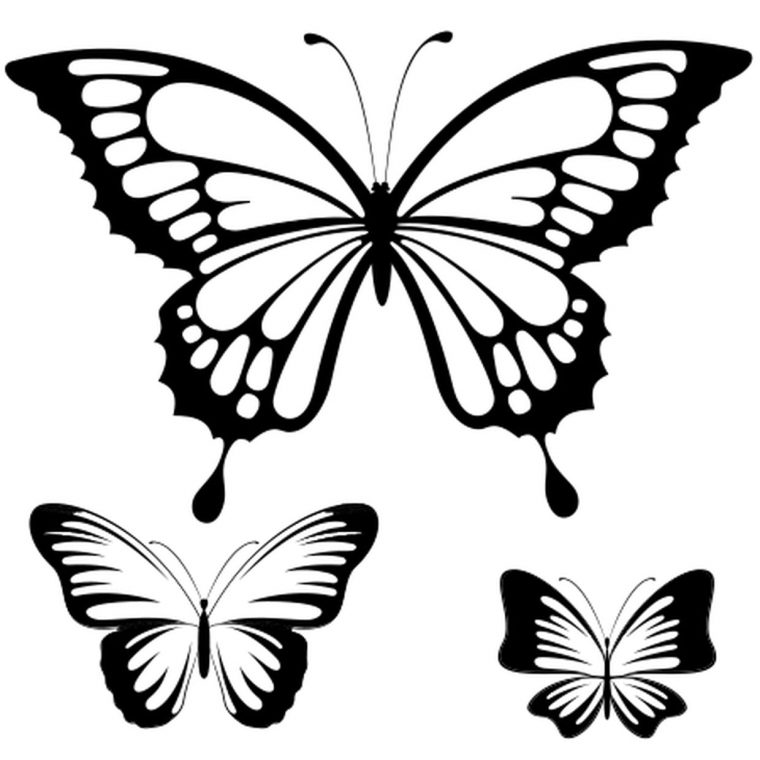 Coloriage Papillon Dessin En Ligne Gratuit À Imprimer encequiconcerne Modele De Dessin Gratuit