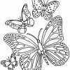 Coloriage Papillon Difficile - Les Beaux Dessins De avec Dessin A Imprimer Papillon Gratuit