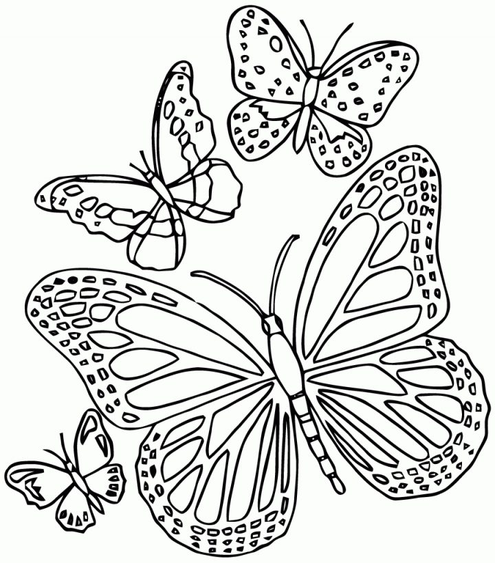 Coloriage Papillon Difficile – Les Beaux Dessins De avec Dessin A Imprimer Papillon Gratuit