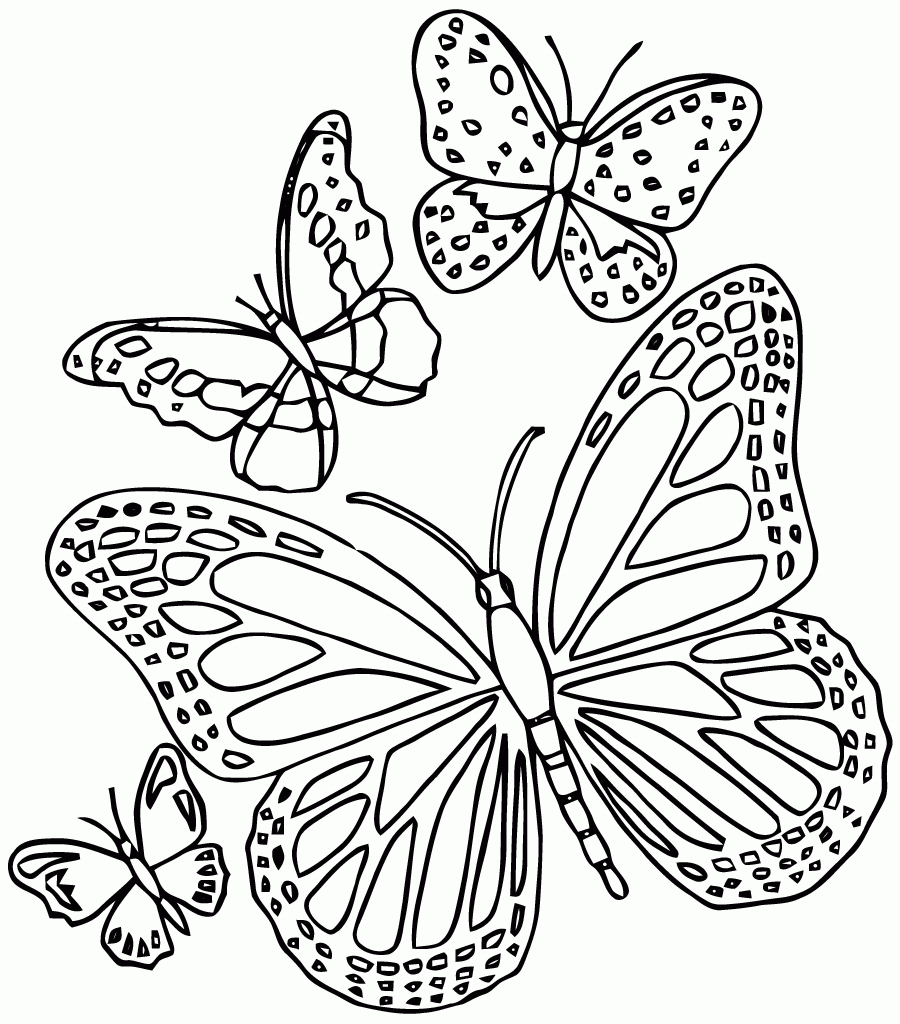 Coloriage Papillon Difficile - Les Beaux Dessins De avec Dessin A Imprimer Papillon Gratuit