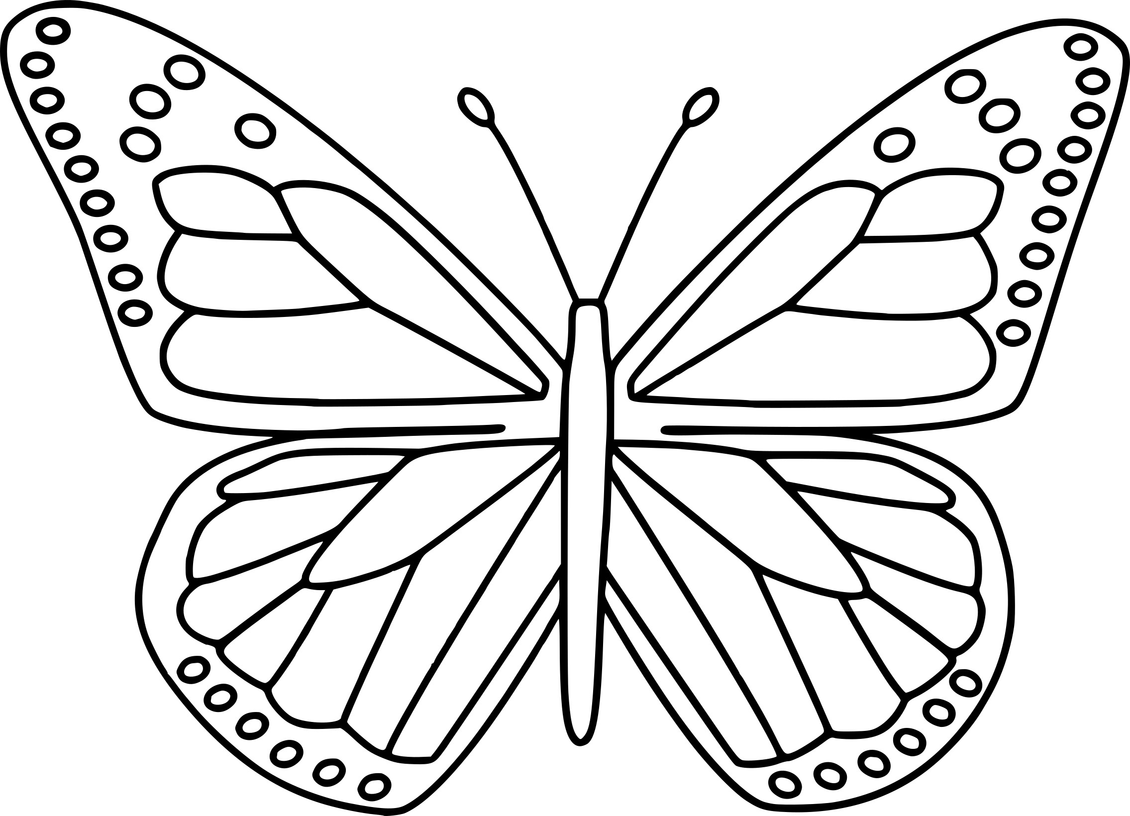 Coloriage Papillon Et Dessin À Imprimer à Dessin A Imprimer Papillon Gratuit 