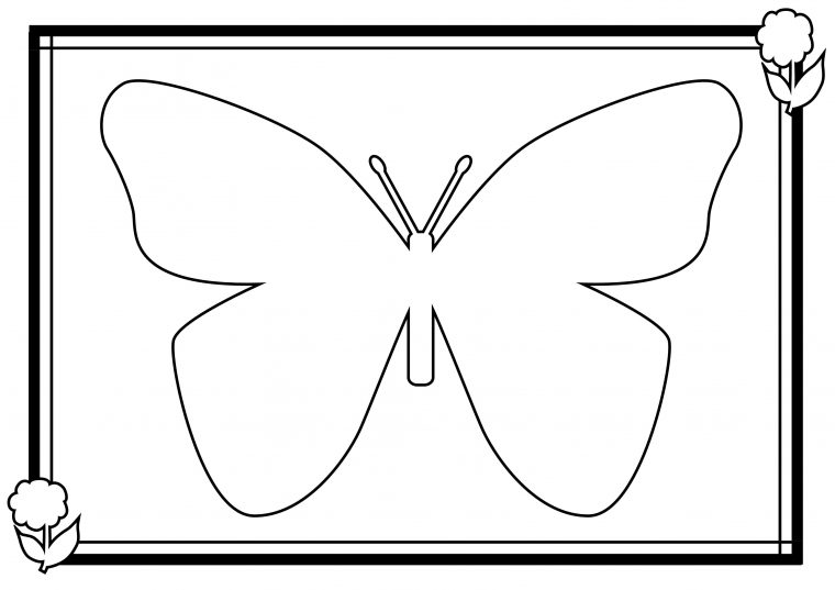 Coloriage Papillon – Les Beaux Dessins De Animaux À Imprimer à Dessin Papillon À Colorier