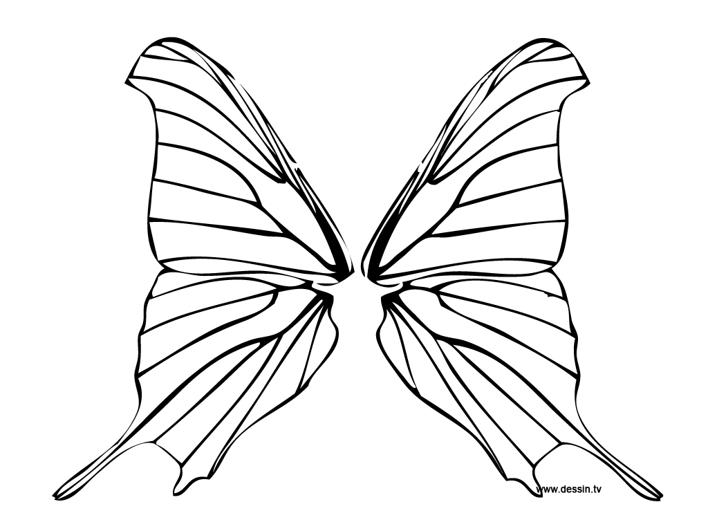 Coloriage Papillon - Les Beaux Dessins De Animaux À Imprimer à Dessin Papillon À Colorier 