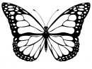 Coloriage Papillon - Les Beaux Dessins De Animaux À Imprimer dedans Dessin Papillon À Colorier