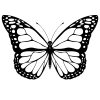 Coloriage Papillon - Les Beaux Dessins De Animaux À Imprimer destiné Papillon À Dessiner