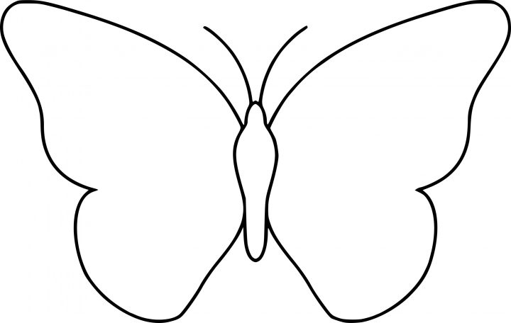 Coloriage Papillon Simple À Imprimer Sur Coloriages tout Dessin A Imprimer Papillon Gratuit