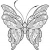 Coloriage Papillon Zentangle Jolis Motifs 16 Dessin à Dessin A Imprimer Papillon Gratuit