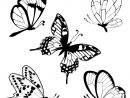 Coloriage Papillons - Facile intérieur Dessin Papillon À Colorier