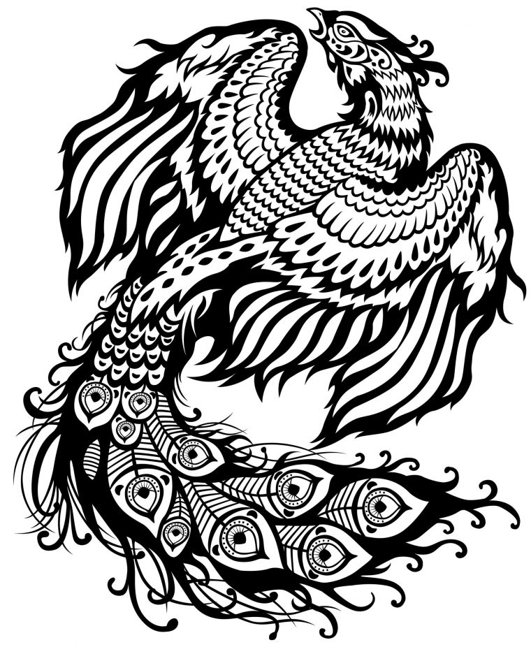 Coloriage Phoenix – Dessin Noir Et Blanc concernant Dessin Noir Et Blanc Animaux