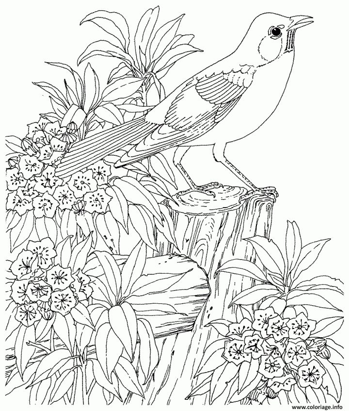 Coloriage Pour Adulte 1 Dessin à Dessin A Imprimer Pour Adulte