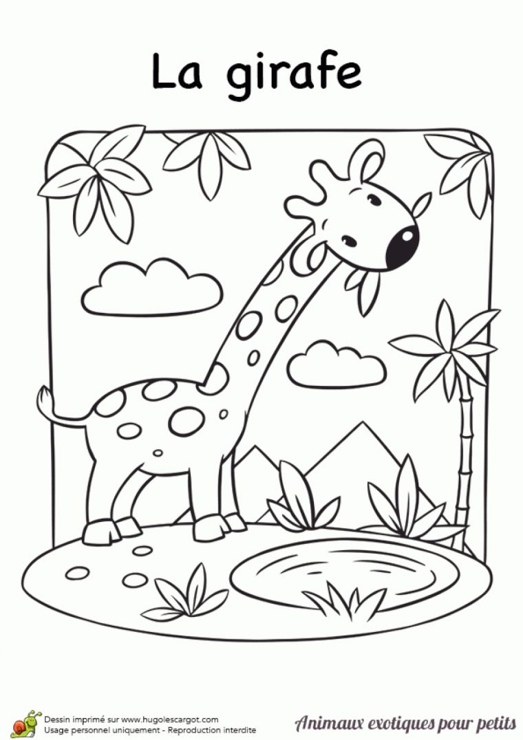 Coloriage Pour Petits Animaux Exotiques La Girafe intérieur Jeux De Girafe Gratuit