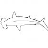 Coloriage Requin 15 - Coloriage Requins - Coloriages Animaux encequiconcerne Coloriage Requin Blanc Imprimer