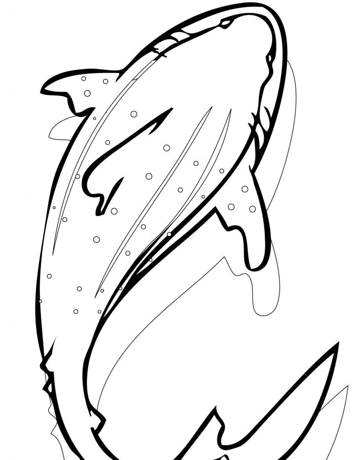 Coloriage Requin Baleine Imprimer – 1001 Animaux pour Coloriage Requin À Imprimer