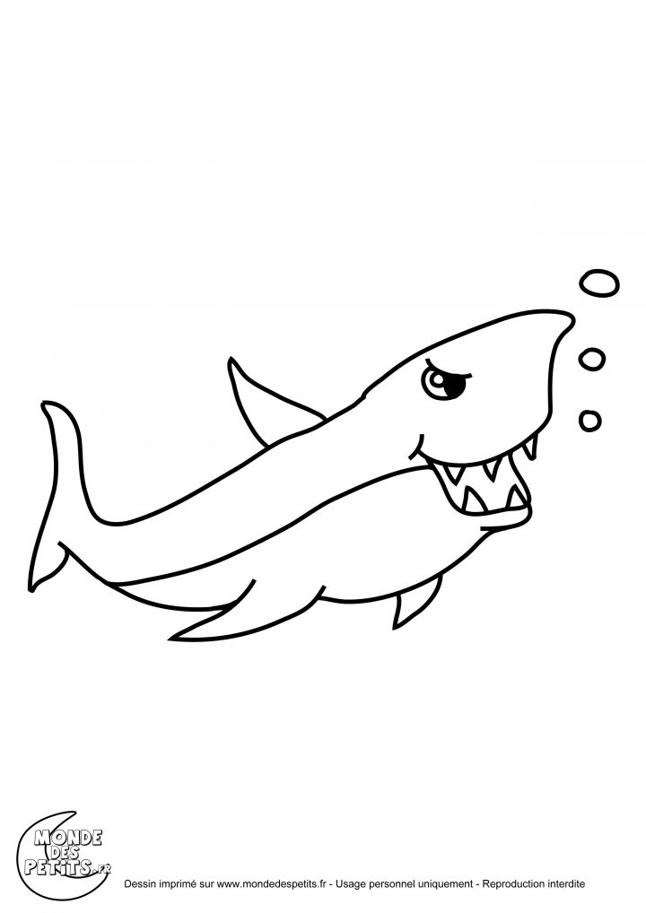 Coloriage Requin Blanc pour Coloriage Requin Blanc Imprimer