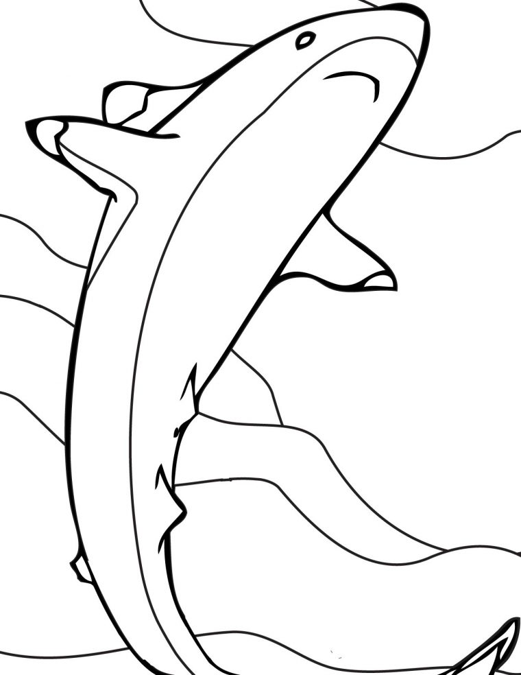 Coloriage Requin Dessin À Imprimer Sur Coloriages avec Dessin De Requin À Imprimer