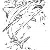 Coloriage Requin En Ligne Gratuit À Imprimer dedans Coloriage Requin Blanc Imprimer