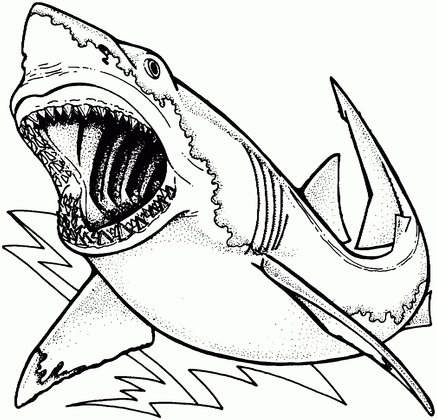 Coloriage Requin Gratuit Imprimer 1001 Animaux Dessin Requin avec Coloriage Requin Blanc Imprimer