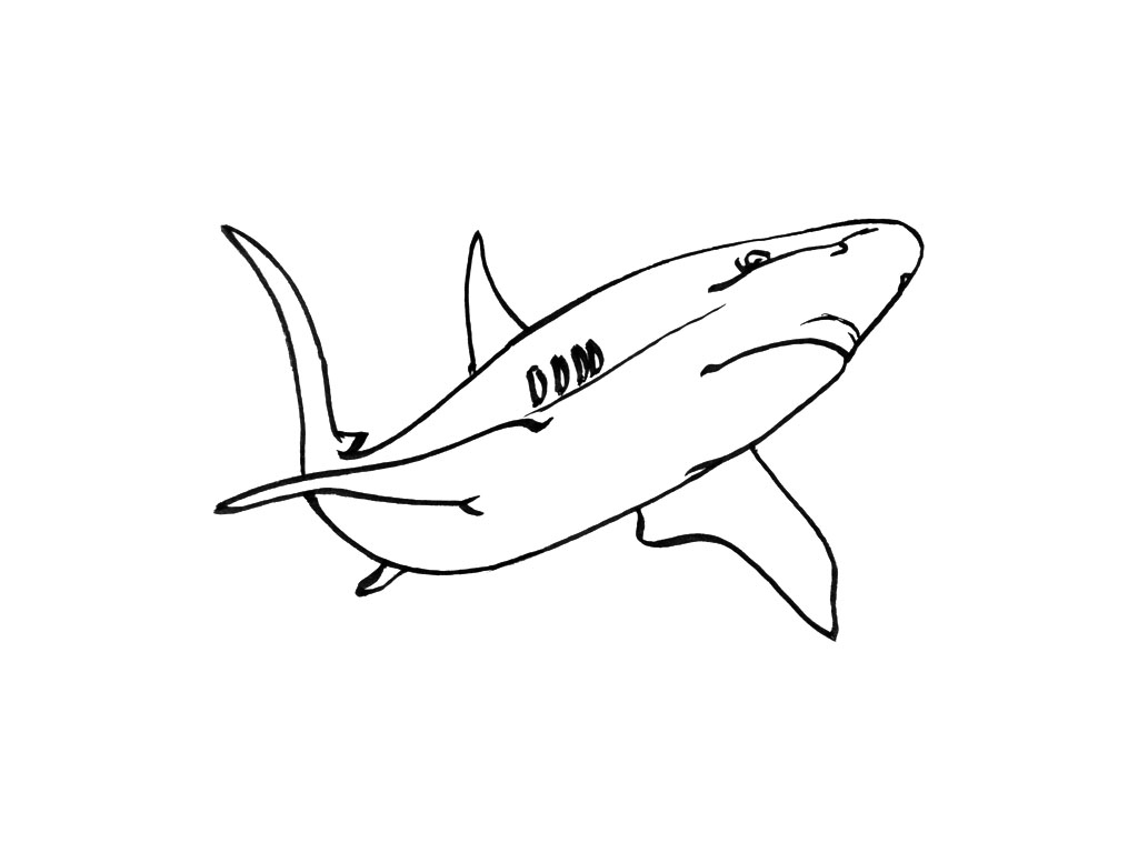 Coloriage Requin - Les Beaux Dessins De Animaux À Imprimer destiné Coloriage Requin À Imprimer 