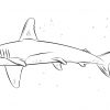 Coloriage - Requin-Marteau | Coloriages À Imprimer Gratuits dedans Coloriage Requin À Imprimer