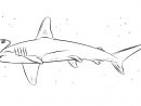 Coloriage - Requin-Marteau | Coloriages À Imprimer Gratuits dedans Dessin De Requin À Imprimer