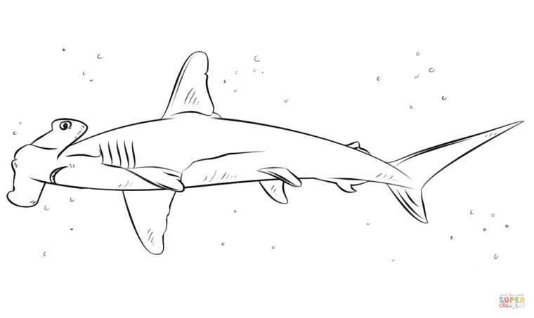 Coloriage – Requin-Marteau | Coloriages À Imprimer Gratuits dedans Dessin De Requin À Imprimer