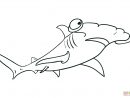 Coloriage - Requin Marteau | Coloriages À Imprimer Gratuits encequiconcerne Dessin De Requin À Imprimer