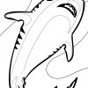 Coloriage Requin Tigre A Imprimer - 1001 Animaux destiné Coloriage Requin Blanc Imprimer