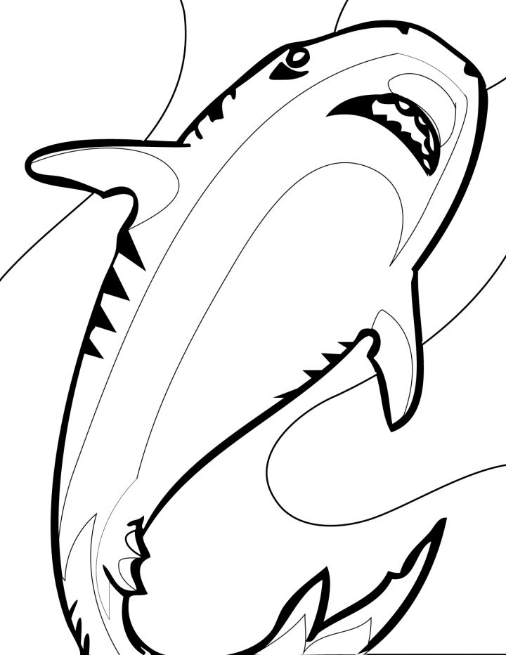 Coloriage Requin Tigre A Imprimer – 1001 Animaux destiné Coloriage Requin Blanc Imprimer