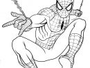 Coloriage Spiderman Gratuit À Colorier - Dessin À Imprimer pour Modele De Dessin Gratuit