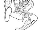 Coloriage Spiderman Gratuit À Colorier - Dessin À Imprimer serapportantà Coloriage À Colorier Sur L Ordinateur Gratuit