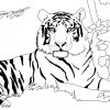 Coloriage Tigre Afrique Dans Son Habitat Naturel Dessin tout Coloriage Afrique À Imprimer