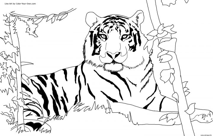 Coloriage Tigre Afrique Dans Son Habitat Naturel Dessin tout Coloriage Afrique À Imprimer