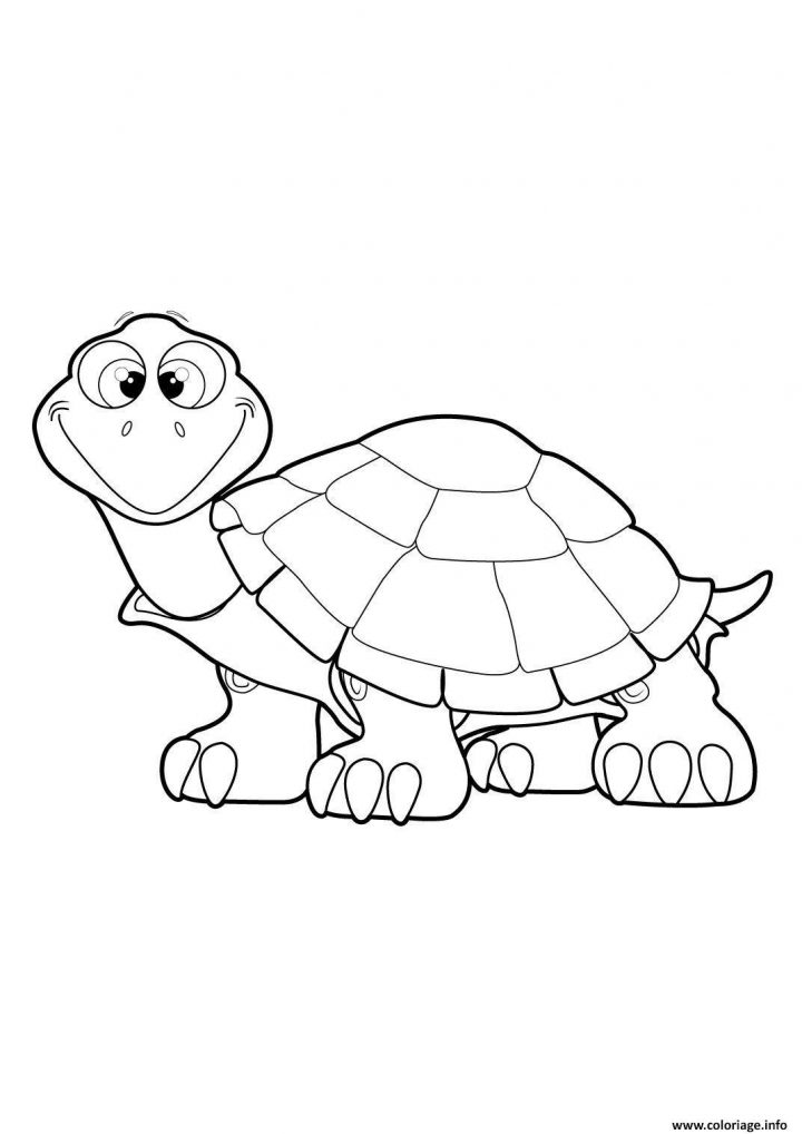 Coloriage Tortue 20 Dessin à Dessiner Une Tortue