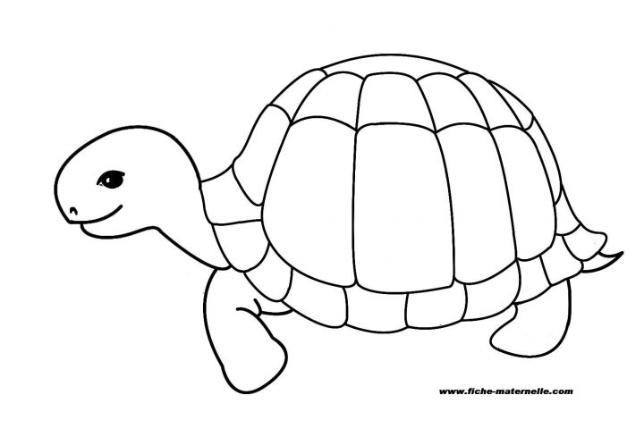 Coloriage Tortue À Colorier – Dessin À Imprimer | Coloriage à Dessiner Une Tortue