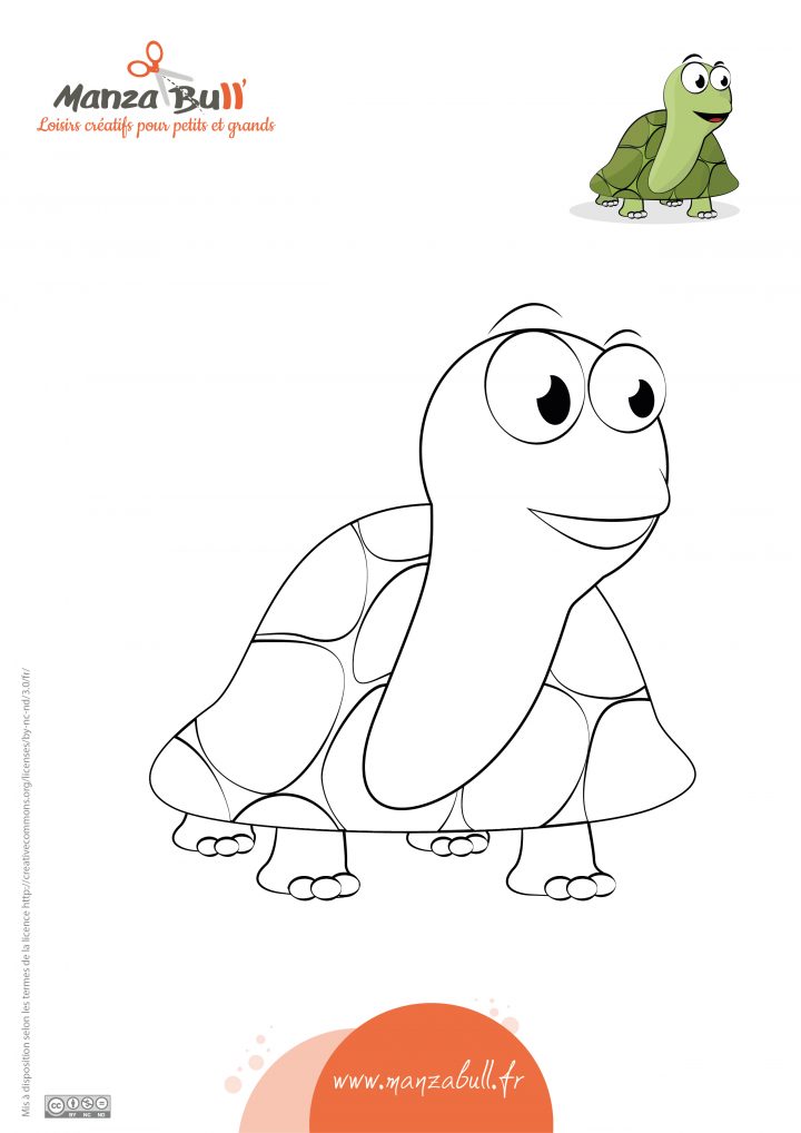 Coloriage Tortue À Imprimer – Manzabull' pour Dessin Tortue À Imprimer