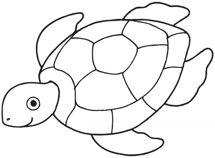 Coloriage Tortue De Mer À Imprimer Sur Coloriages encequiconcerne Dessin Tortue À Imprimer