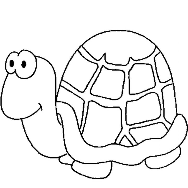 Coloriage Tortue En Ligne Gratuit À Imprimer à Dessin Tortue À Imprimer