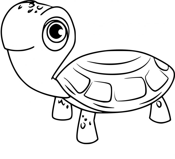 Coloriage Tortue La Pat'patrouille À Imprimer pour Dessin Tortue À Imprimer