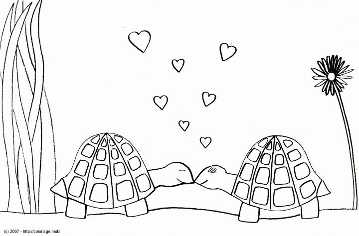 Coloriage Tortue – Les Beaux Dessins De Animaux À Imprimer destiné Dessin Tortue À Imprimer