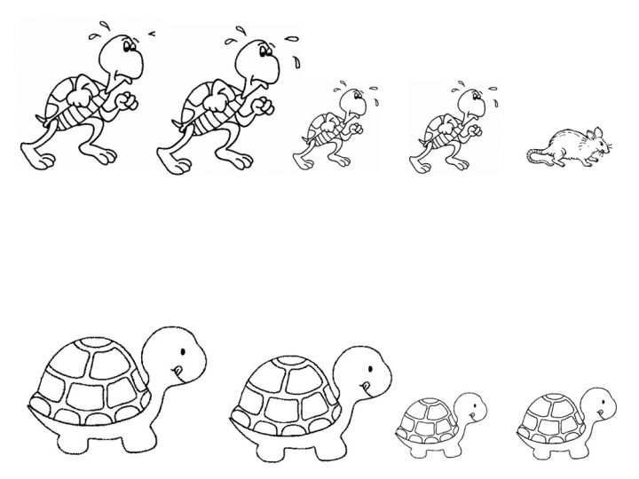 Coloriage Tortue – Les Beaux Dessins De Animaux À Imprimer pour Dessin Tortue À Imprimer