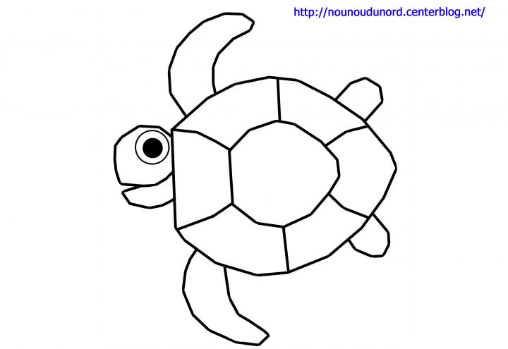 Coloriage Tortue – Les Beaux Dessins De Animaux À Imprimer serapportantà Dessiner Une Tortue