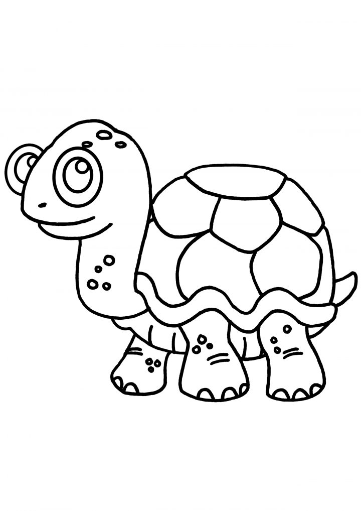 Coloriage Tortue – Les Beaux Dessins De Animaux À Imprimer tout Dessin Tortue À Imprimer