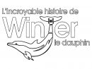 Coloriage Winter Le Dauphin - Coloriages - Coloriage À pour Dessin Dauphin À Imprimer