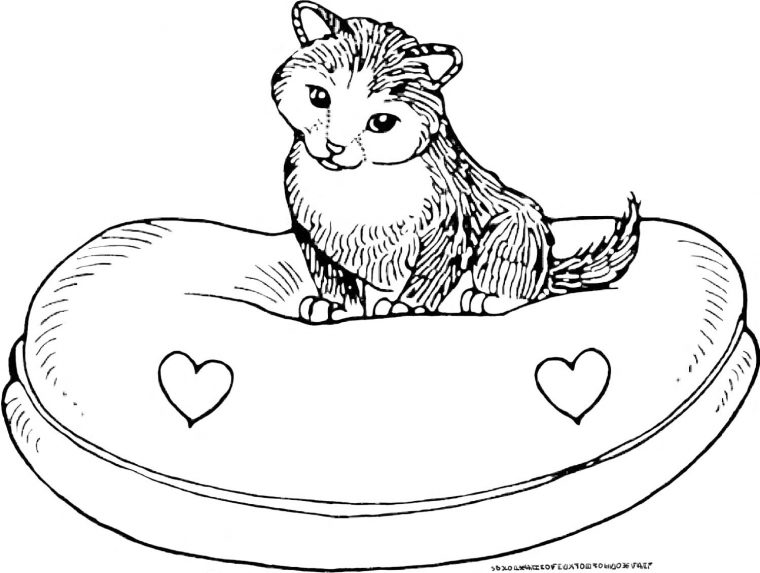 Coloriages À Imprimer : Chat, Numéro : 11194C62 intérieur Coloriage De Chat De Noel