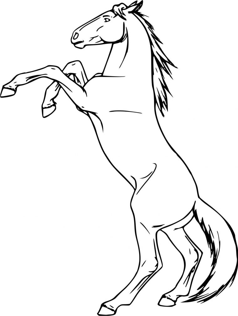 Coloriages À Imprimer : Cheval, Numéro : 52C11Cb5 dedans Dessin De Cheval A Colorier